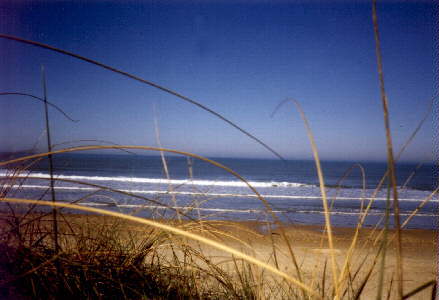 ein herrlicher breiter Sandstrand